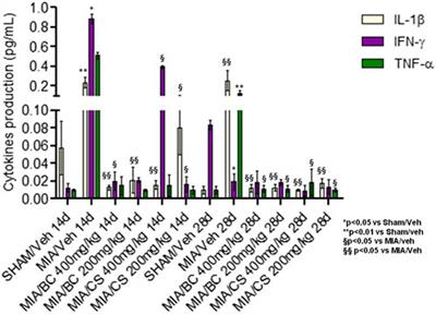 Evaluation of unsulfated biotechnological chondroitin in a knee osteoarthritis mouse model as a potential novel functional ingredient in nutraceuticals and pharmaceuticals